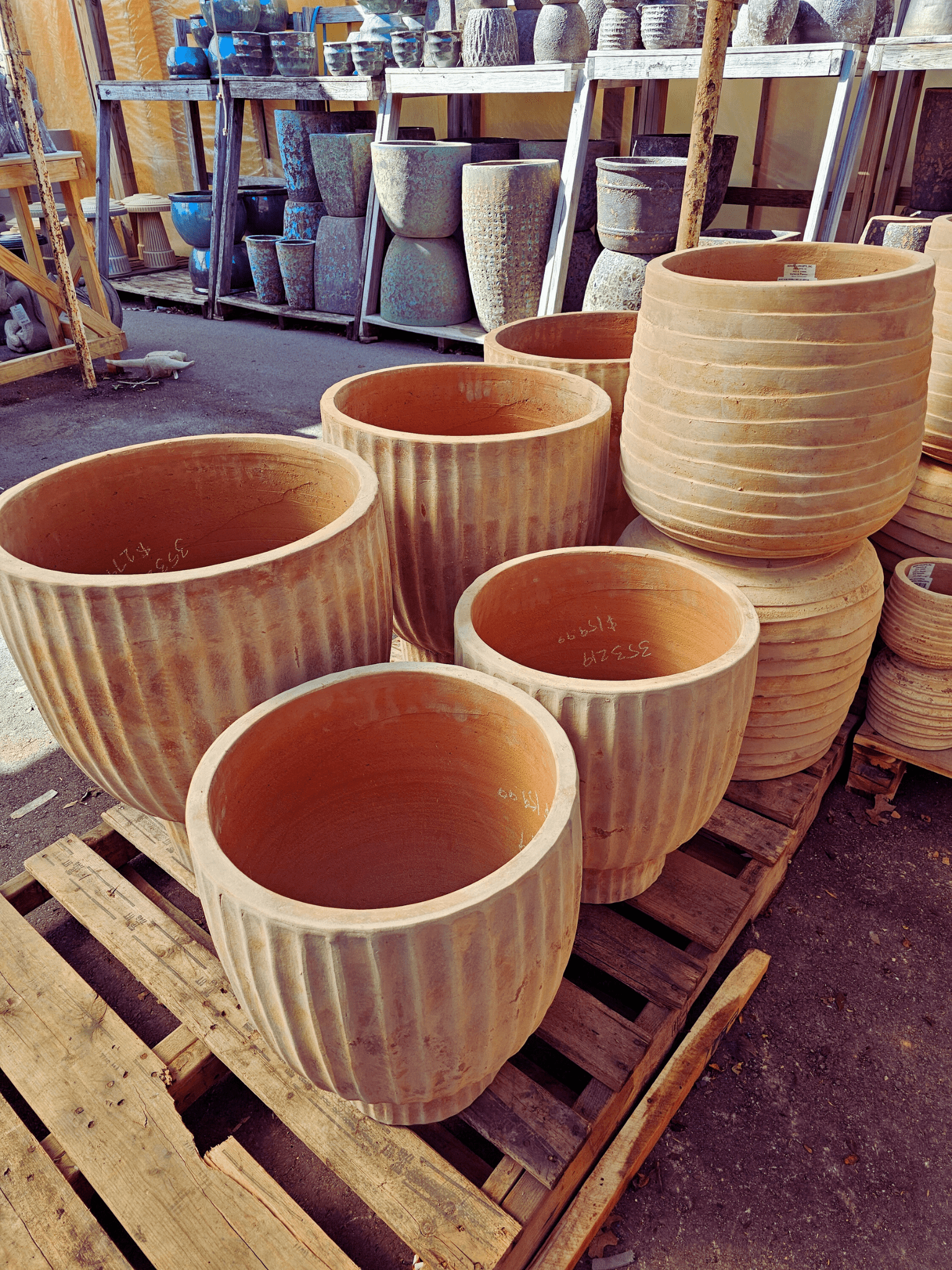 Spring Garden Plans: Progress in My Late Winter Cottage Garden