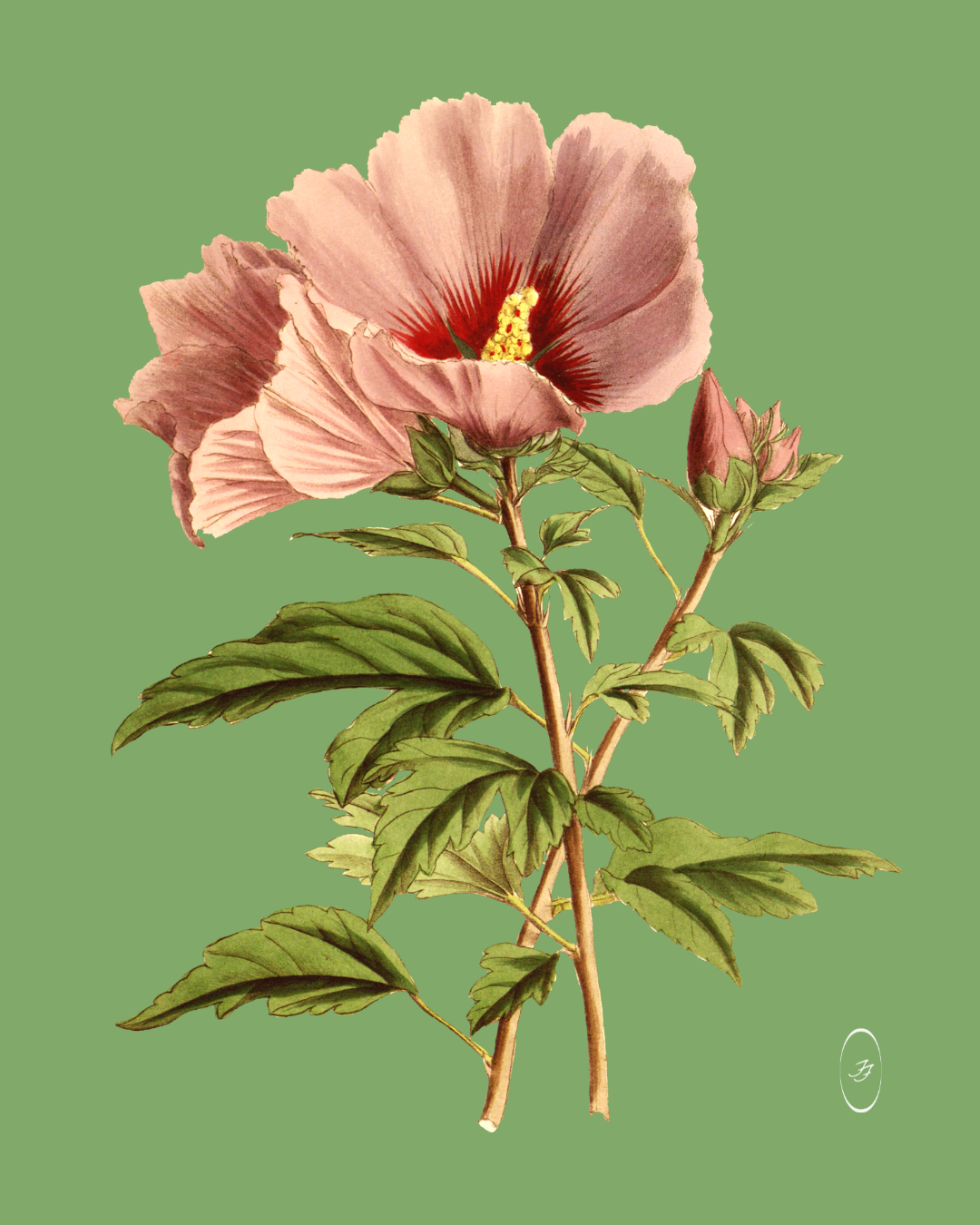 destination florist image