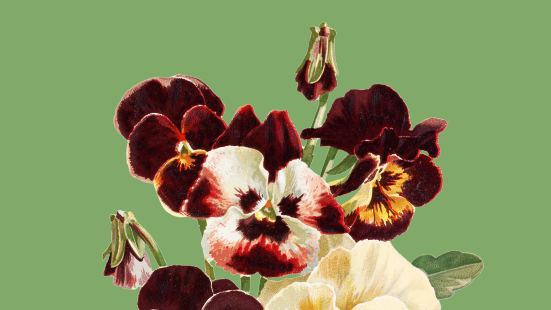 destination florist for luxury events