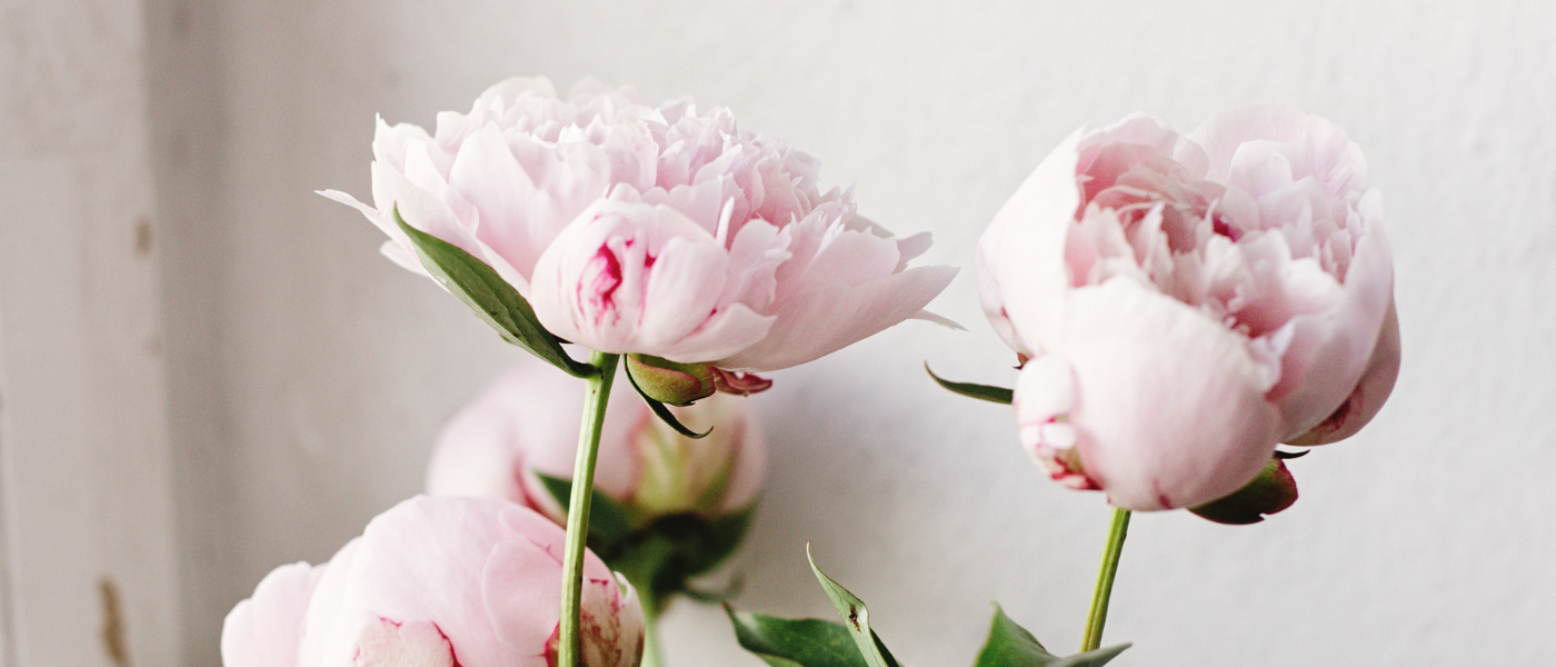 East Nashville Flower Shop is a Nashville Florist