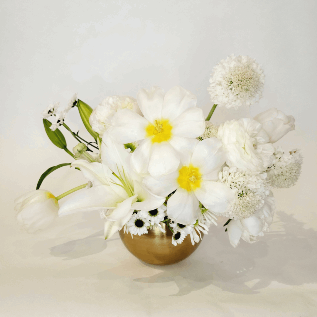Colors Collection: White