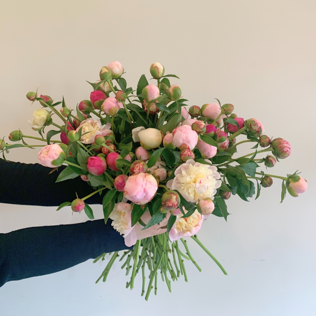 Local Peonies en Masse