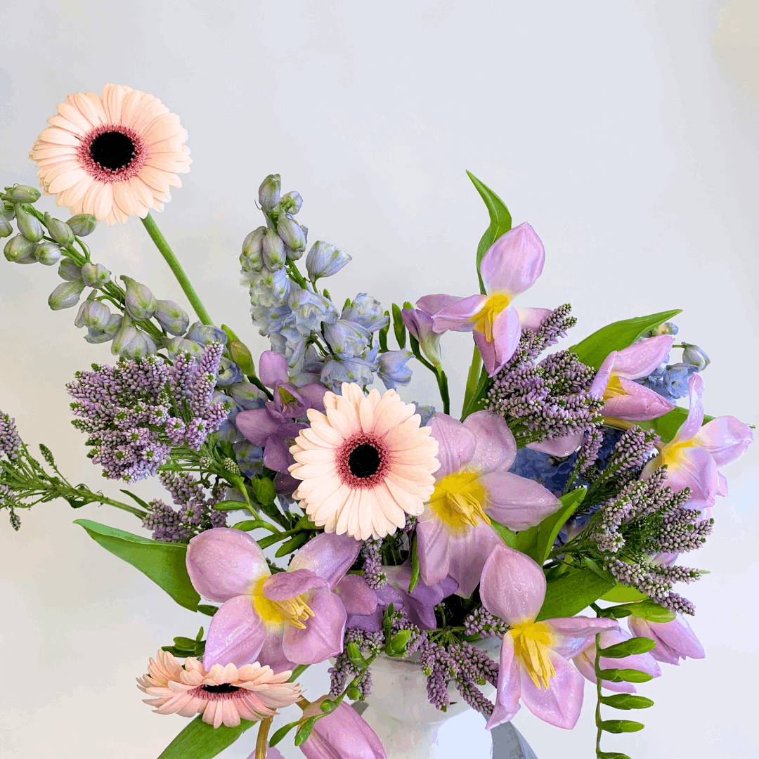 Colors Collection: Lavender