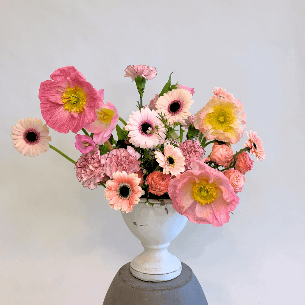 Colors Collection: Pink