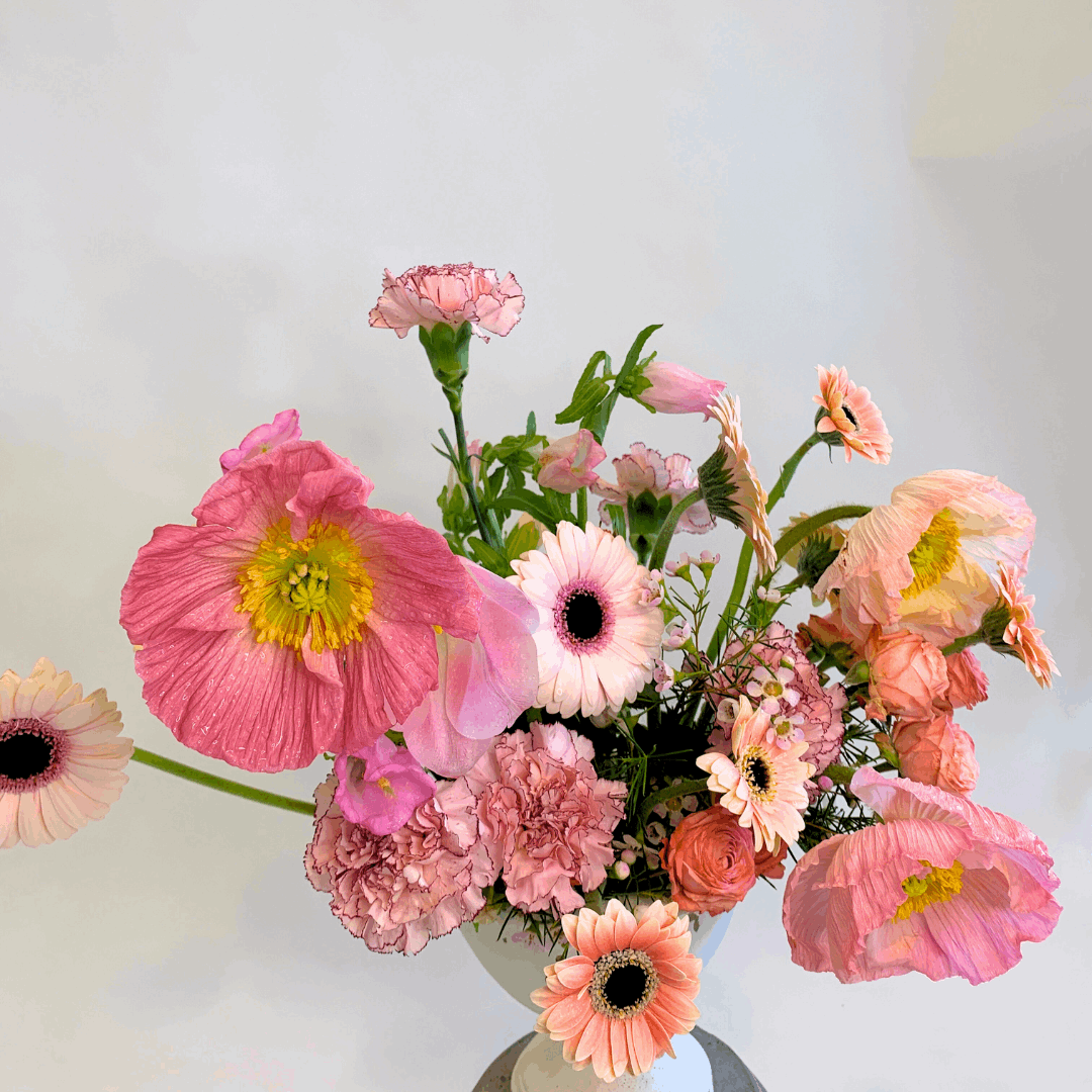 Colors Collection: Pink