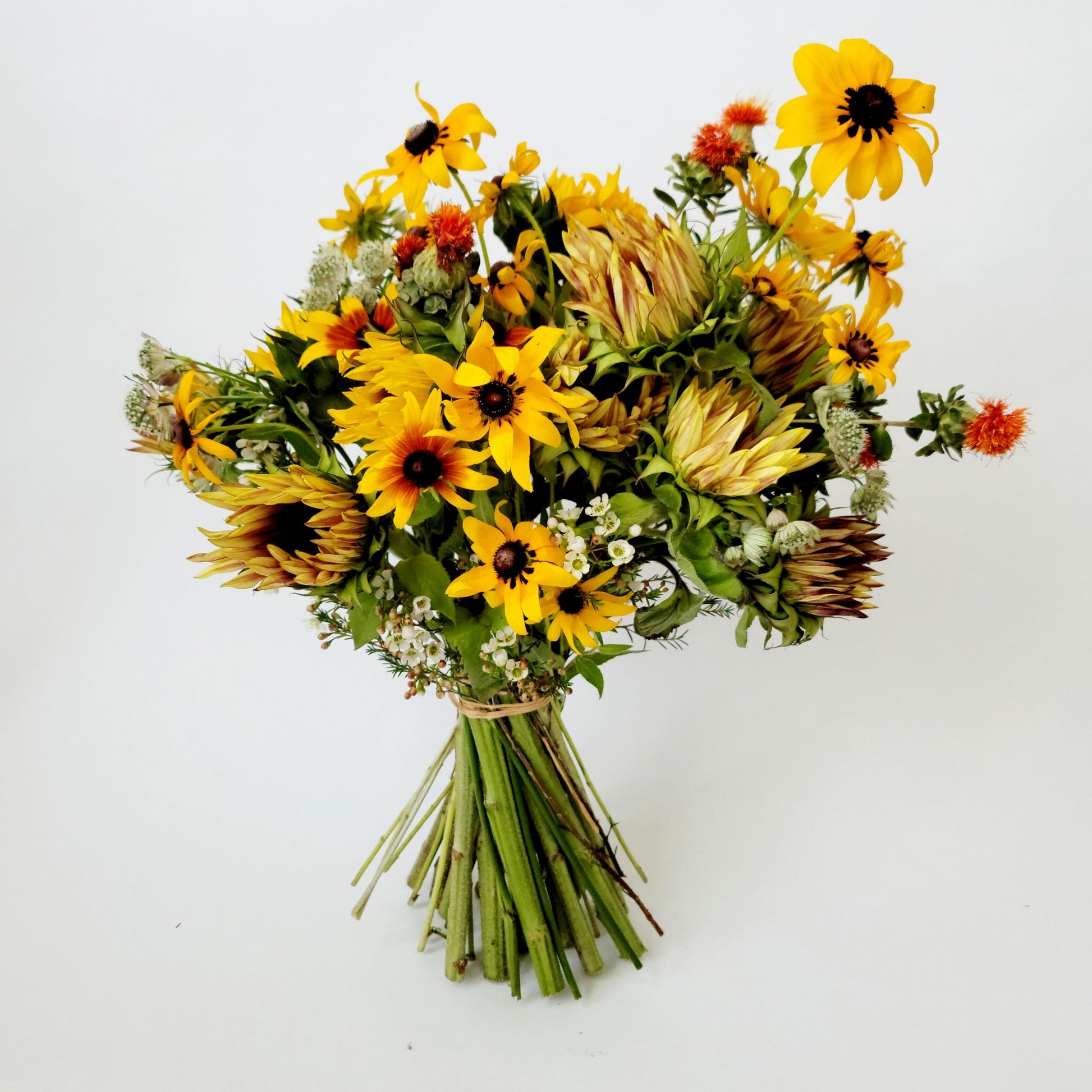 Nashville Florist same day delivery of flowers to the Greater nashville Area